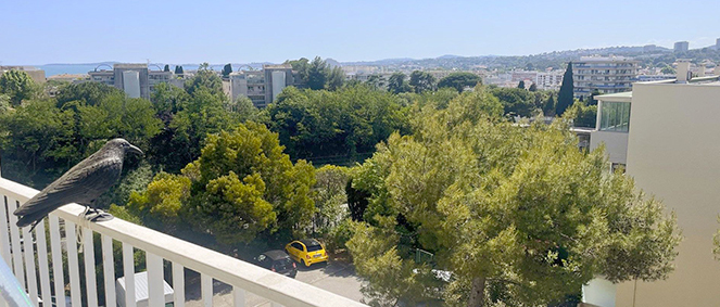 Agence MCE IMMOBILIER  Cagnes-sur-Mer