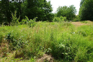  Terrain � vendre 