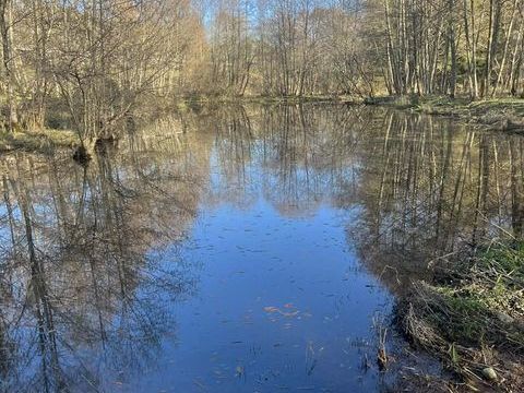   �tang sur terrain  Propri�t�/ch�teau - 1 pi�ce(s) - 10000 m�