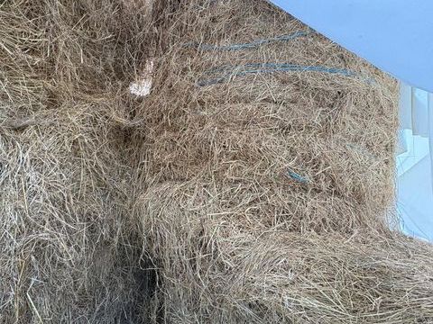 foin 25 71170 Chauffailles