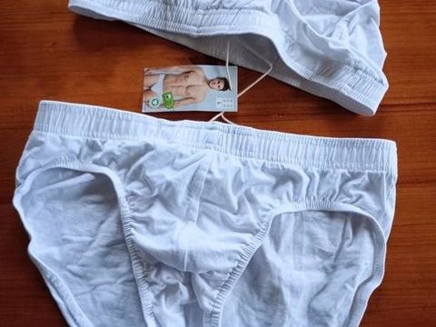 Lot de deux slips blancs 5 Rennes (35)