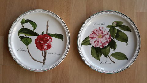 assiettes déco 10 Noisseville (57)