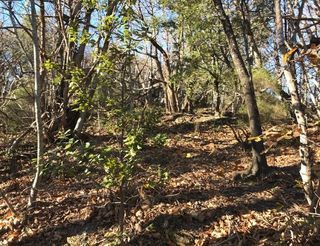  Terrain � vendre 210000 m�