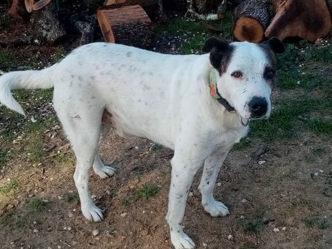 Koldo 300 78170 La celle-saint-cloud