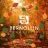 BERNOLLIN IMMOBILIER - Attignat