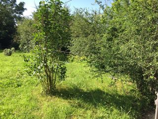  Terrain � vendre 1650 m�