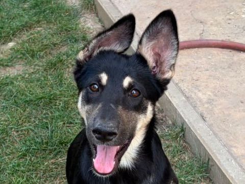 LESSIE 280 27620 Gasny