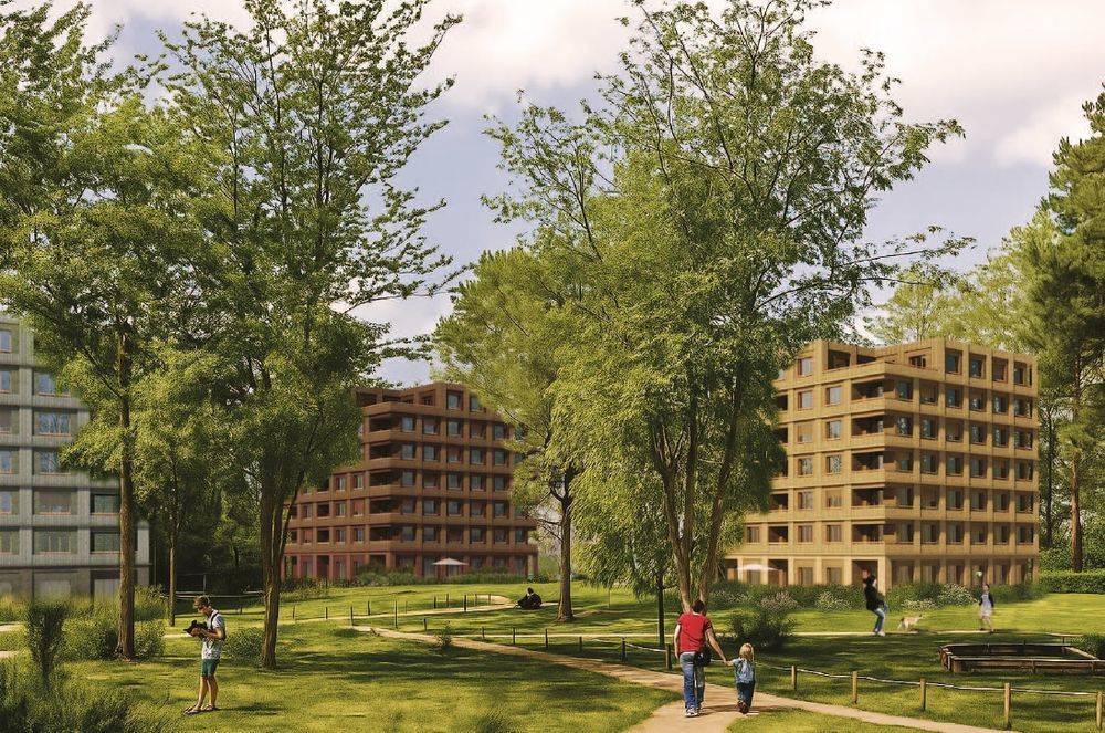 Appartements neufs   Massy (91300)