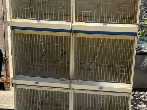 Batteries cages d'élevage PVC 90 77130 Ville-saint-jacques