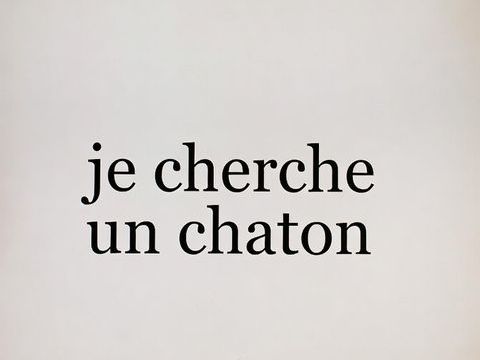&Agrave; la recherche d'un chaton (lire texte en bas svp !) 0 87000 Limoges