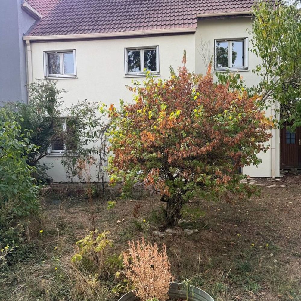 Vente Maison Maison Grange aux Bois Metz Metz