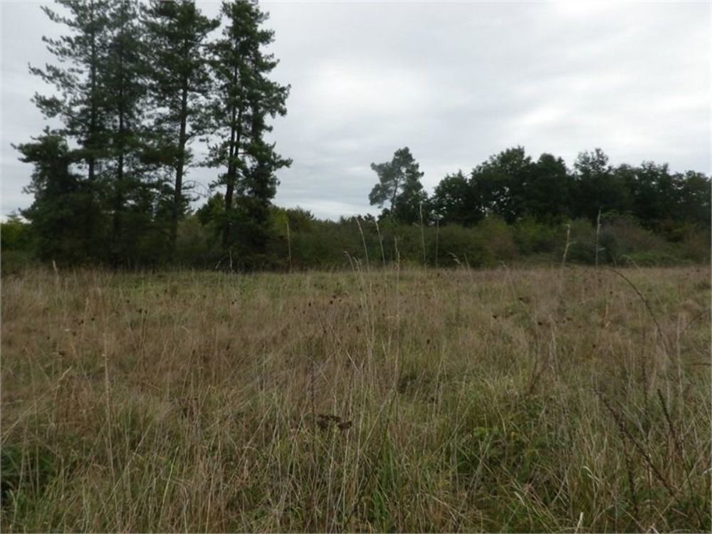 Maisons neuves   Libourne (33500)