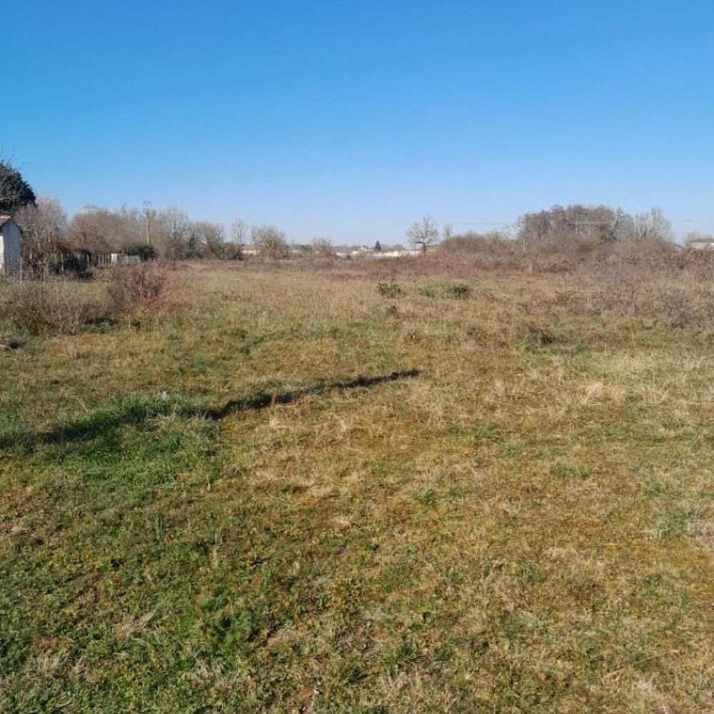 Maisons neuves   Loupes (33370)