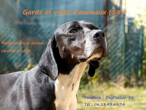 Visites d animaux aux domiciles du propriétaires 10 38490 Le passage