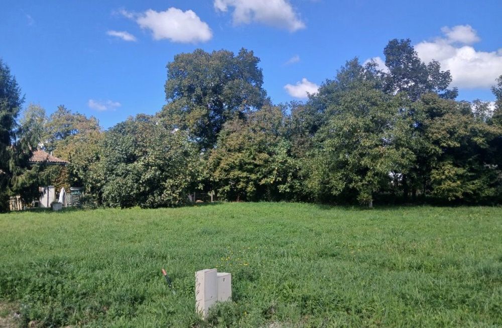   Saint-Andr-de-Cubzac (33240)