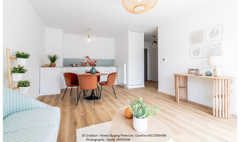 Appartements neufs   Nancy (54100)