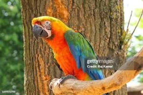 Couple Catalina 2800 46340 Salviac