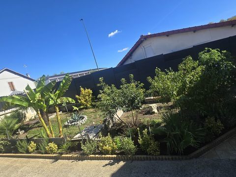 Rech,belle tortue herman femelle 77..75 0 93800 Épinay-sur-seine