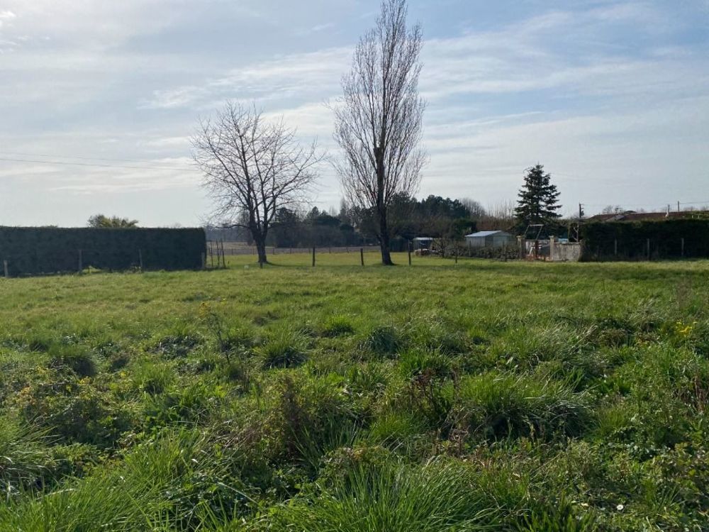 Maisons neuves   Saint-Just-Luzac (17320)