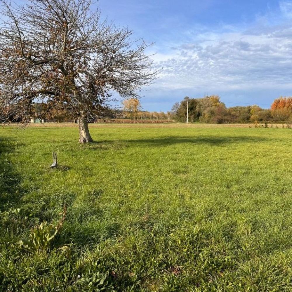   Sainte-Florence (33350)