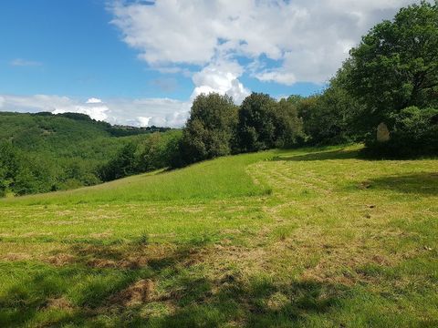   Propri�t� de 24 hectares avec 2 maisons Maison - 8 pi�ce(s) - 225 m�