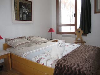  Appartement � louer 2 pi�ces 35 m�