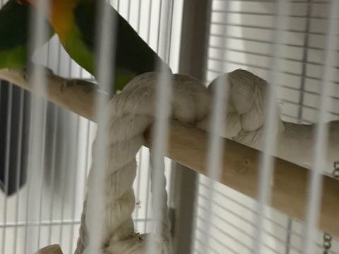 Couple d'ins&eacute;parable 190 95660 Champagne-sur-oise