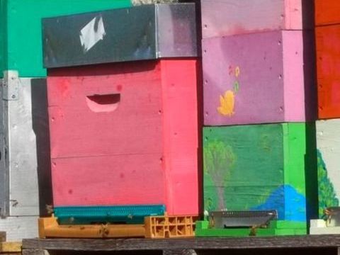 Essaim 2025, abeilles,Ruche Dadant 200 07110 Chassiers