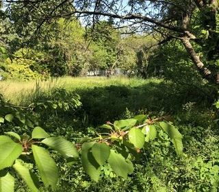  Terrain � vendre 1045 m�