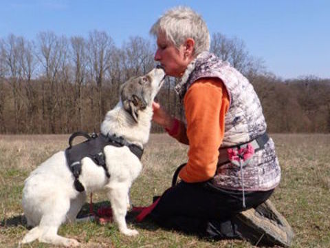 Lesly &agrave; l'adoption 320 67000 Strasbourg