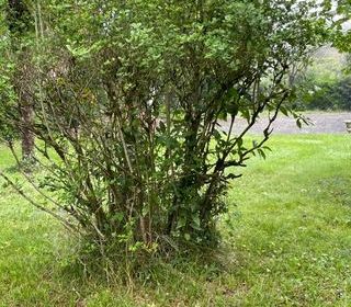  Terrain � vendre 