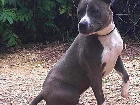 Tiya 230 26700 Pierrelatte