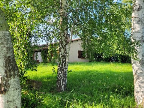   Colocation � partir du 1er avril Maison - 5 pi�ce(s) - 119 m�