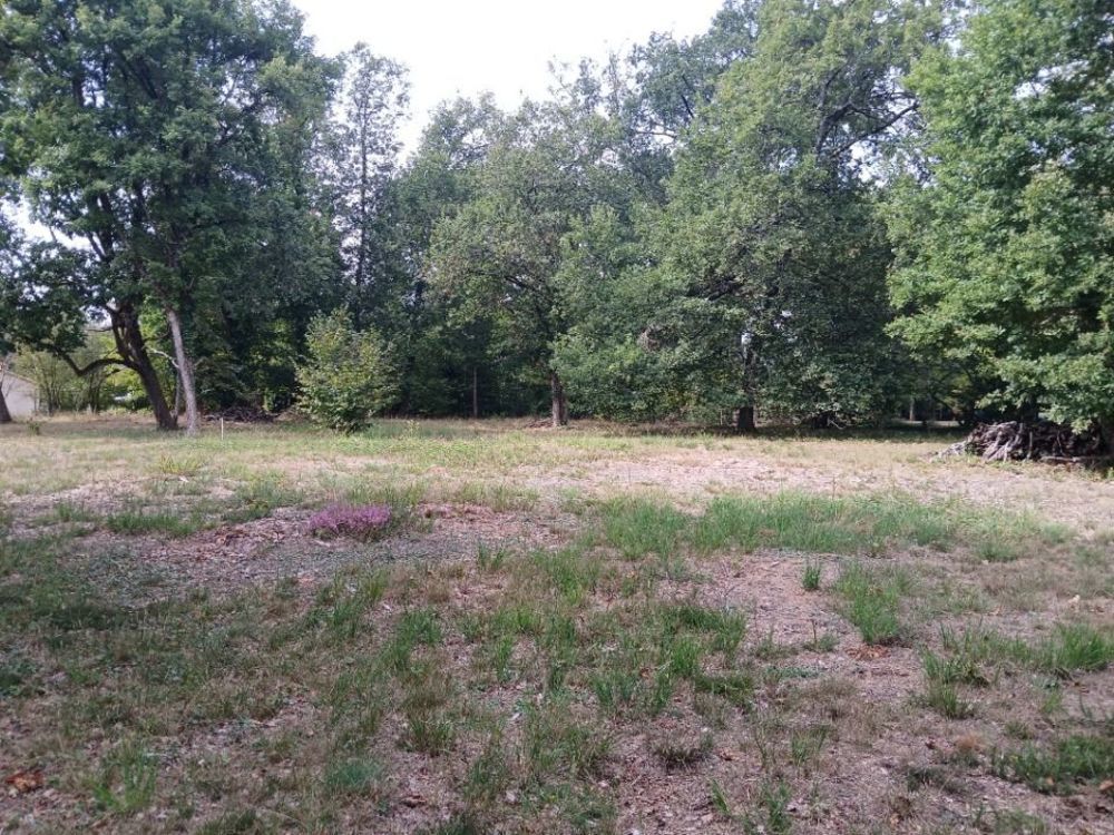   Coulounieix-Chamiers (24660)