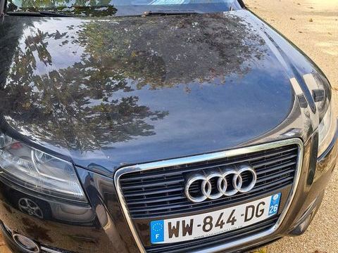 Audi A3 1.6 TDI 105 DPF Ambition Luxe 2010 occasion Montvendre 26120