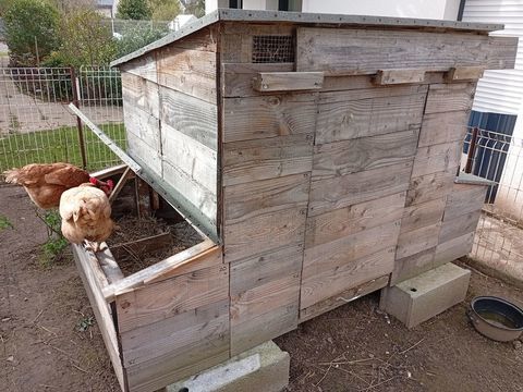 poulailler pour 6 poules 250 22370 Pl�neuf-val-andr�
