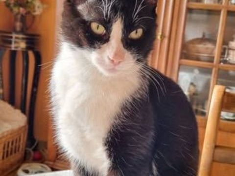 ALPHONSE 75 27620 Gasny