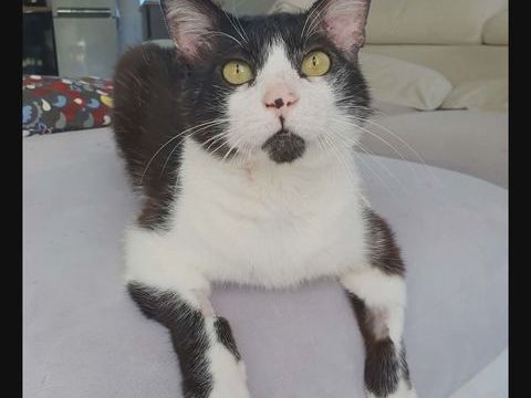 ZORRO 1 26700 Pierrelatte