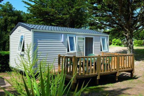 Mobil-Home Mobil-Home 2016 occasion Cheval-Blanc 84460