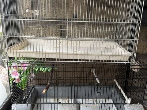 Cage pour oiseaux 20 93330 Neuilly-sur-marne