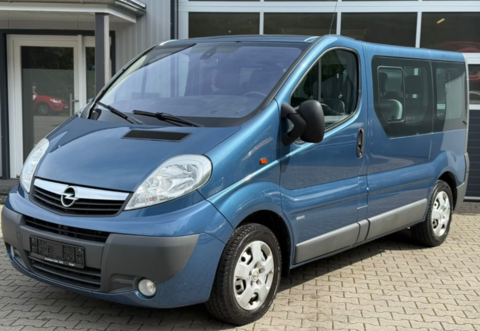 Opel Divers 114 2007 occasion Nancy 54000