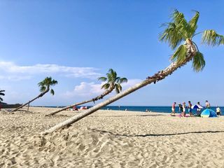 Location  Maison - Villa 