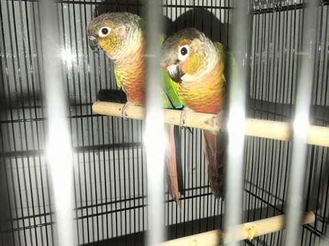 Connure 170 77230 Dammartin-en-go�le