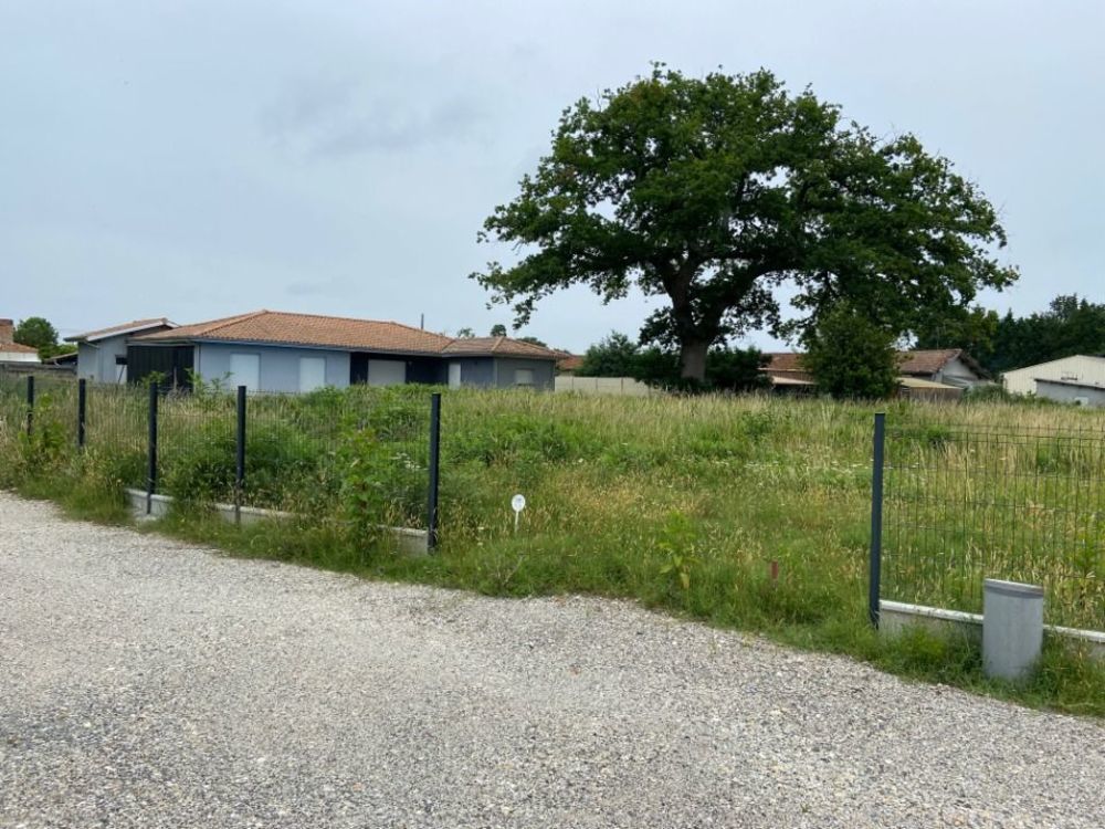 Maisons neuves   Saint-Jean-d'Illac (33127)