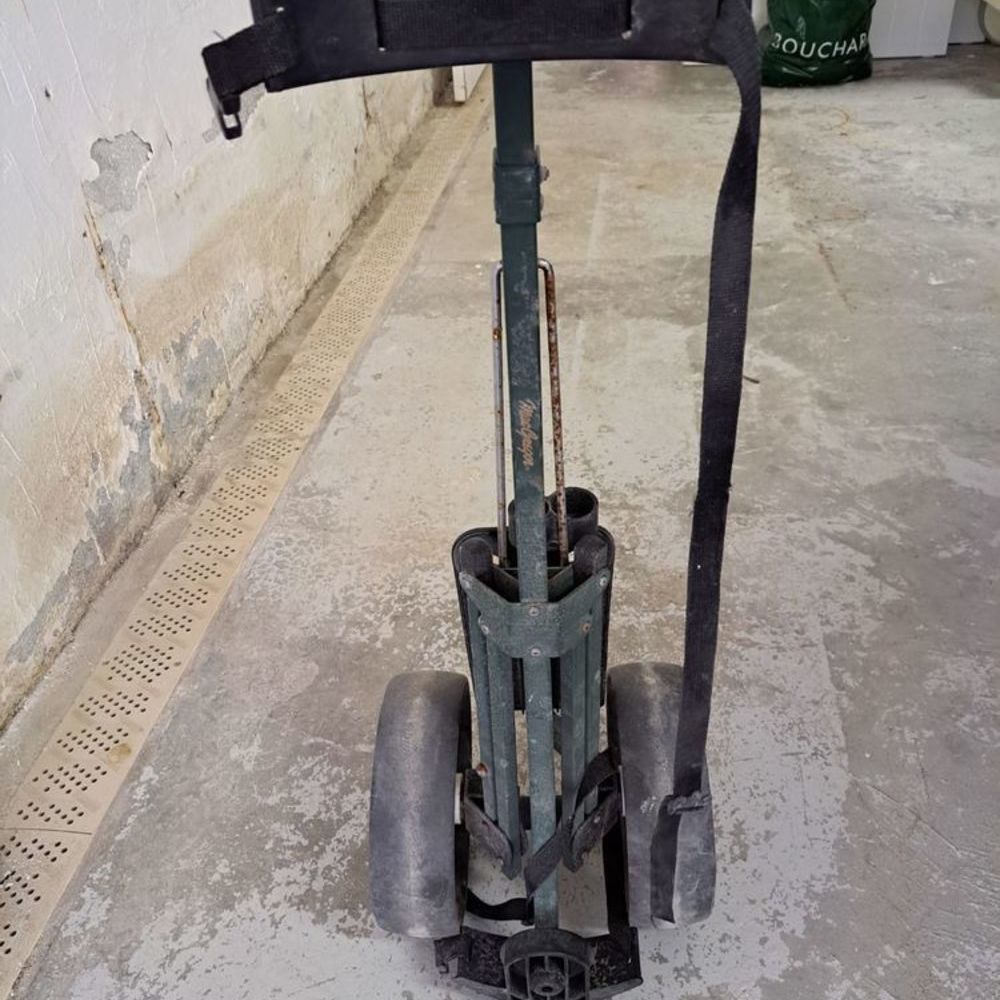 charriot de golf Jardin