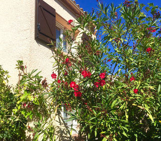 Location  Maison - Villa 