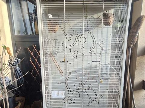 Grande cage Arabesque Axelle oiseaux 50 30140 Bagard