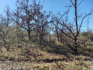  Terrain � vendre 4600 m�