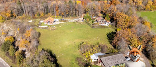  Propri�t�/ch�teau � vendre 15 + pi�ces 500 m�