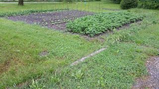  Terrain � louer 200 m�